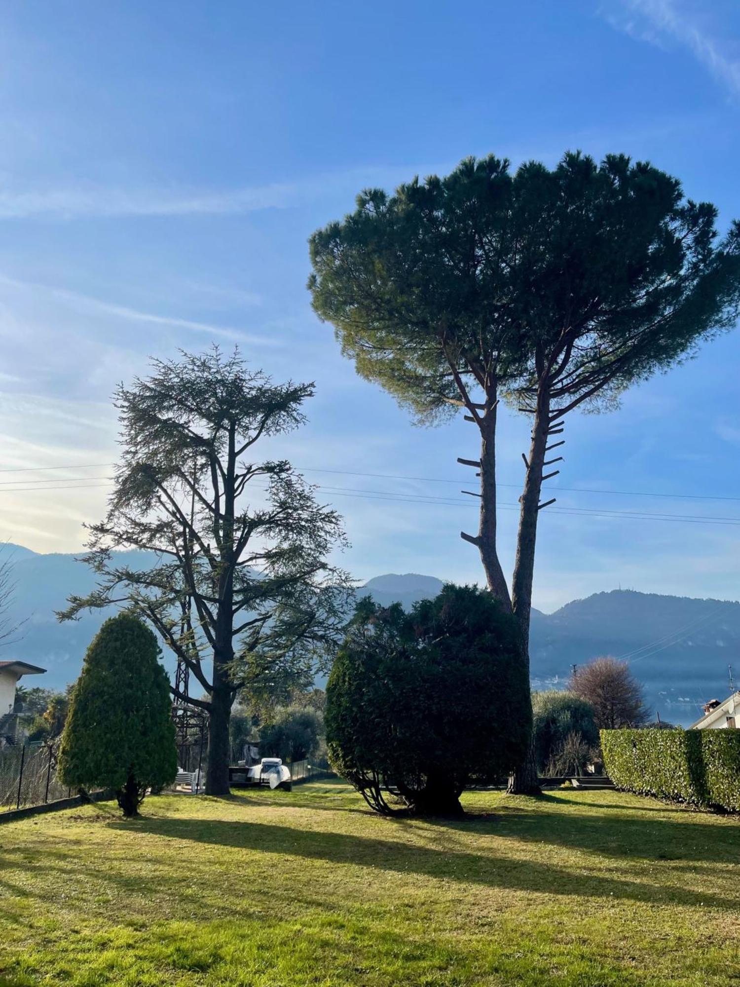 Villa Rosi Льерна Экстерьер фото