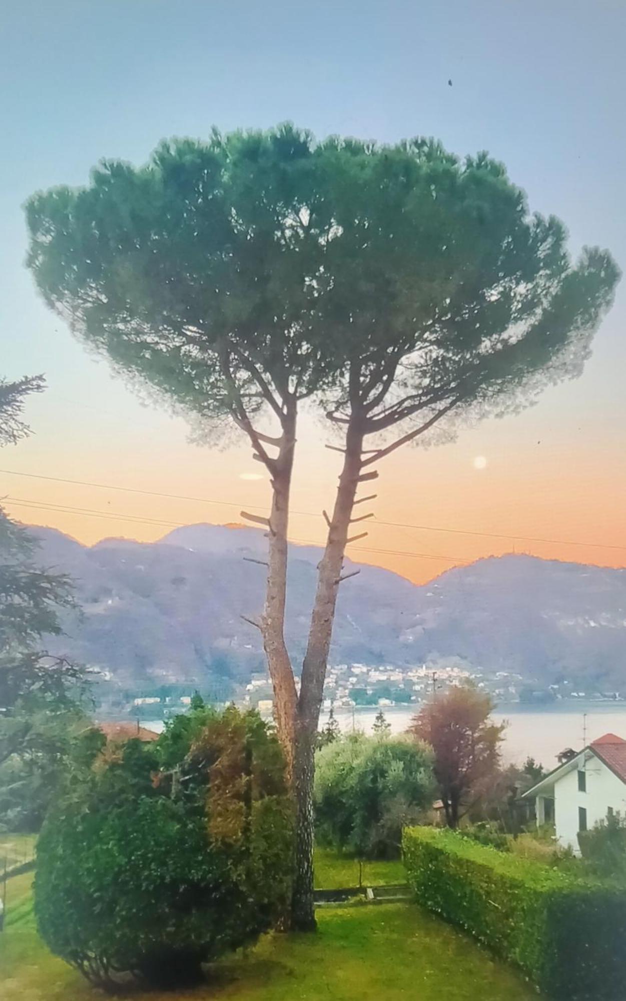Villa Rosi Льерна Экстерьер фото